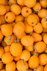 Many fruits of medlar.