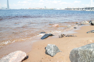 coastal wave with foam on a sunny day