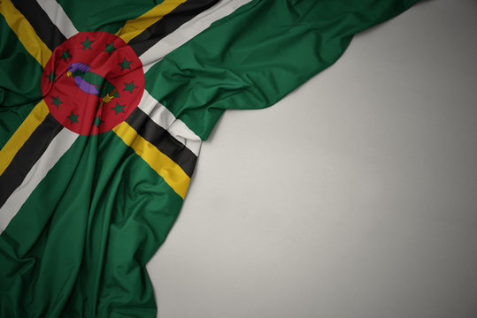 waving national flag of dominica on a gray background. - Powered by Adobe