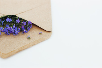 Little cute blue forget-me-nots in a Kraft paper envelope, selective focus. Beautiful bouquet of blue flowers bruners on a light background. Flat lay.