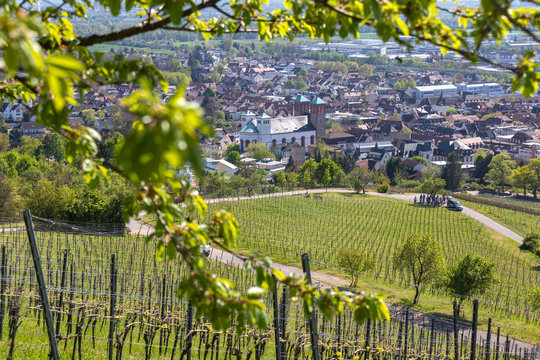 historic city bensheim in hesse germany with whine vineyards