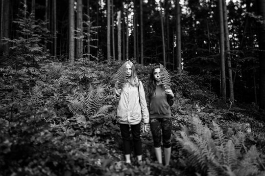 Blurred and grainy art portrait  with tilt shift effect of young female couple holding hands in the forest
