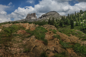 landscape forest in trentino with dolomiti mountain