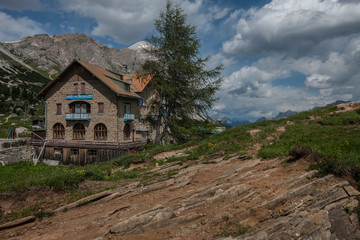 landscape forest in trentino with dolomiti mountain