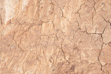 Mud crack,Brown cracked ground texture or background.