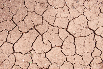 Mud crack,Brown cracked ground texture or background.
