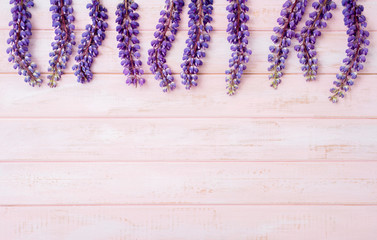 lupine on pastel pink wooden background