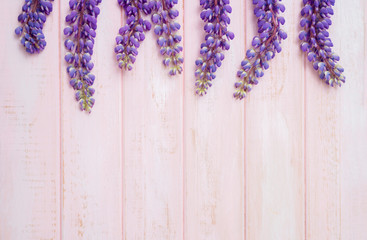 lupine on pink wooden background