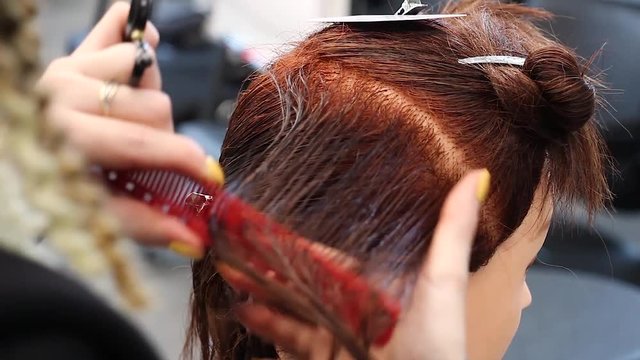stylist carefully combs hair on dummy head, practices and training new skills, hairdresser education workshop, view from behind 