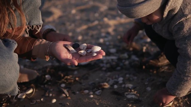 Little toddler in grey clothes and mother are spending time together and looking for, picking and collecting sea shells at sand beach seaside. Cool weather. Close up footage