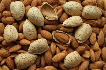 Top view of a pile of peeled raw almonds  and raw almonds with shells