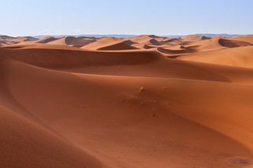 Sand dunes in the Sahara / In the Sahara, sand dunes to the horizon, Morocco, Africa.