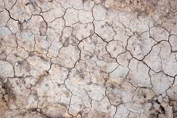 texture of cracks in dry ground