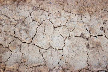 texture of cracks in dry ground