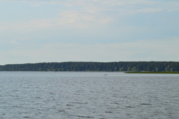 View from river to shore