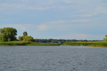 View from river to shore
