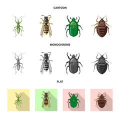 Vector illustration of insect and fly sign. Collection of insect and element stock vector illustration.