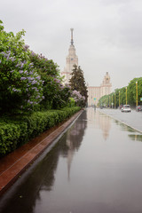Fototapeta na wymiar City of Moscow, view of the University of Lomonosov, mga, flowering gardens and lilac, rain in Moscow