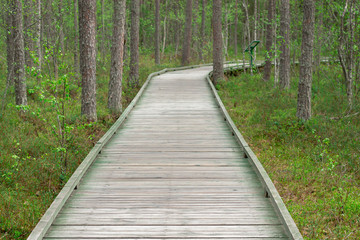 Walking, wooden path in the forest for rest and walks.