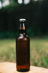 Holding cold beer at garden in hot summer evening