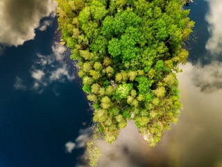 Top down trees and lake