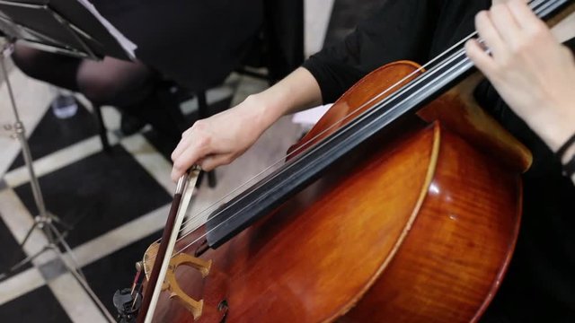 Hand playing the double bass