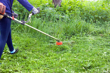 man with a manual lawn mower mows the grass