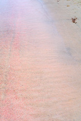 Colorful sand on tropical beach. Copy space.