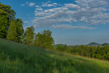 Fields meadows pasture land in national park in spring color morning