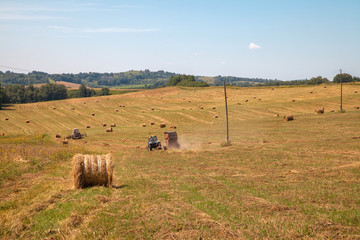 Obraz premium Hayfield. Hay harvesting Sunny autumn landscape. rolls of fresh dry hay in the fields. tractor collects mown grass. fields of yellow mown grass against a blue sky.