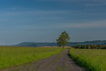 Path between meadows pasture land in national park in spring color morning
