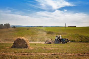 Hayfield. Hay harvesting Sunny autumn landscape. rolls of fresh dry hay in the fields. tractor collects mown grass. fields of yellow mown grass against a blue sky.