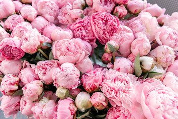 Warehouse refrigerator, Wholesale flowers for flower shops. Pink peonies in a plastic container or bucket. Online store. Floral shop and delivery concept.