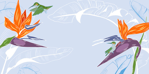Hummingbirds and tropical plants, template for cards, invitations, posters, booklet, vector illustration