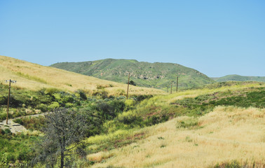Fototapeta na wymiar Valley with telephone poles