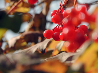 autumn is on the threshold