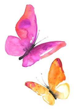 Watercolor colorful butterflies, isolated on white background pink redand orange butterfly illustration.