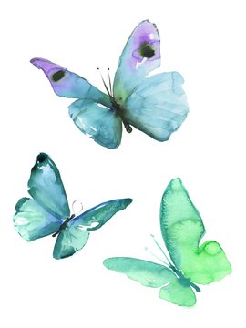 Watercolor colorful butterflies, isolated on white background blue, turquoise butterfly illustration.