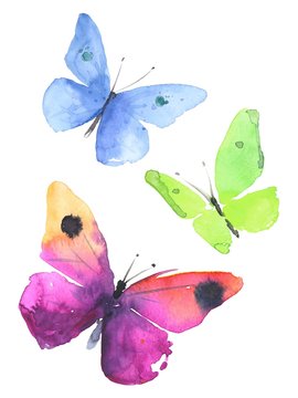 Watercolor colorful butterflies, isolated on white background blue, green, pink and red butterfly illustration.