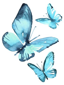 Watercolor colorful butterflies, isolated on white background blue, butterfly illustration.