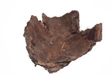 Obraz premium tree bark isolated on white background