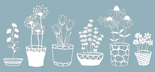 Echinacea, chamomile, schefler, noble hepatica, zephyrantes, stokesia. Vector illustration. Set of paper flower in pots, stickers. Laser cut. Set template for laser cutting and Plotter. Vector illustr - obrazy, fototapety, plakaty