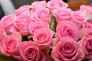 bouquet de roses rose