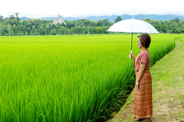 Thai woman stand in green rice field,