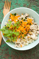 Chicken & pork larb with carrot, scallions and coriander 