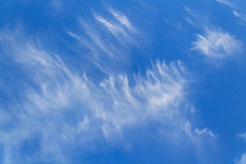 Fluffy abstract lines of white moving clouds on blue summer clear sky background