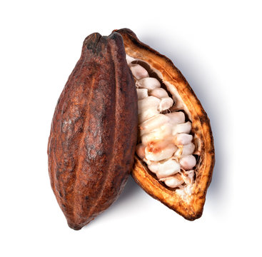 Cocoa Pod On A White Background