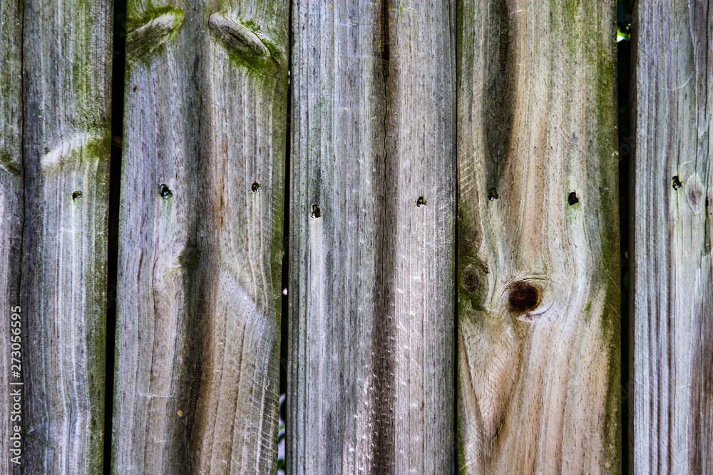 Wall mural wood fence