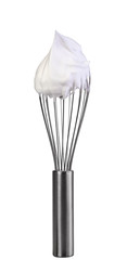 stainless balloon whisk