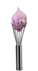 stainless balloon whisk